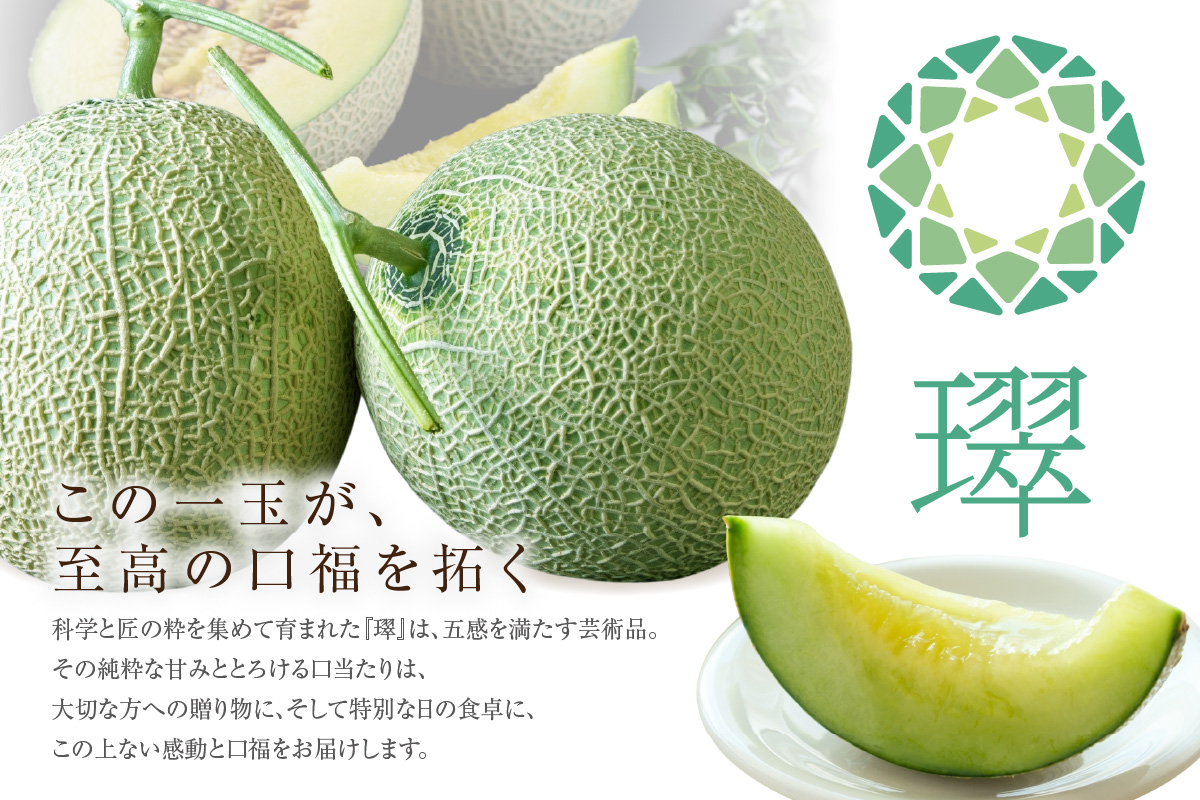 【先行予約】養液栽培メロン「璻」1玉【Special】（糖度14度以上、重さ1.3㎏以上）【熨斗対応可能】│メロン めろん 果物 フルーツ 高級 旬 お取り寄せ 青肉 ご褒美 グルメ 璻 甘い 愛知県