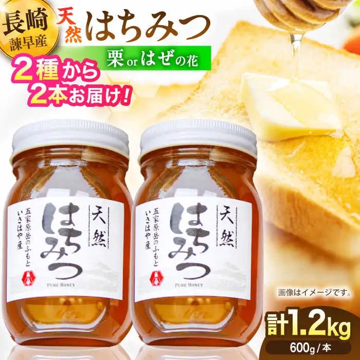 長崎県産天然はちみつ600g(2本セット) / 百花蜜 百花蜂蜜 蜂蜜 はちみつ ハチミツ / 諫早市 / 坂口養蜂 [AHDB001]