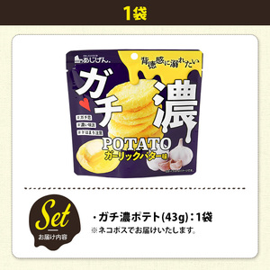 ＜訳あり＞ お試し 訳アリ じゃがスナック ガチ濃ポテト(1袋・43g) 簡易梱包 お菓子 おかし スナック おつまみ ポテト ガーリック バター ガーリックバター 濃い 送料無料 常温保存 【man