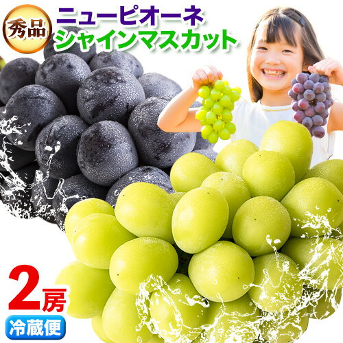 【ふるさと納税】岡山県産 秀品 シャインマスカット ニューピオーネ 詰め合わせ 約1.2kg 2房 葡萄 果物 厳選出荷 スイーツ フルーツ デザート 岡山県矢掛町《9月中旬〜11月上旬頃に出荷予定(土日祝除く)》数量限定 秋旬 種なしぶどう