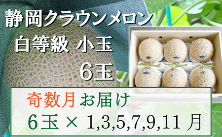 クラウンメロン 並(白等級) 小玉 青肉 静岡県産 クラウンメロン【1.1kg前後 6玉】【定期便】