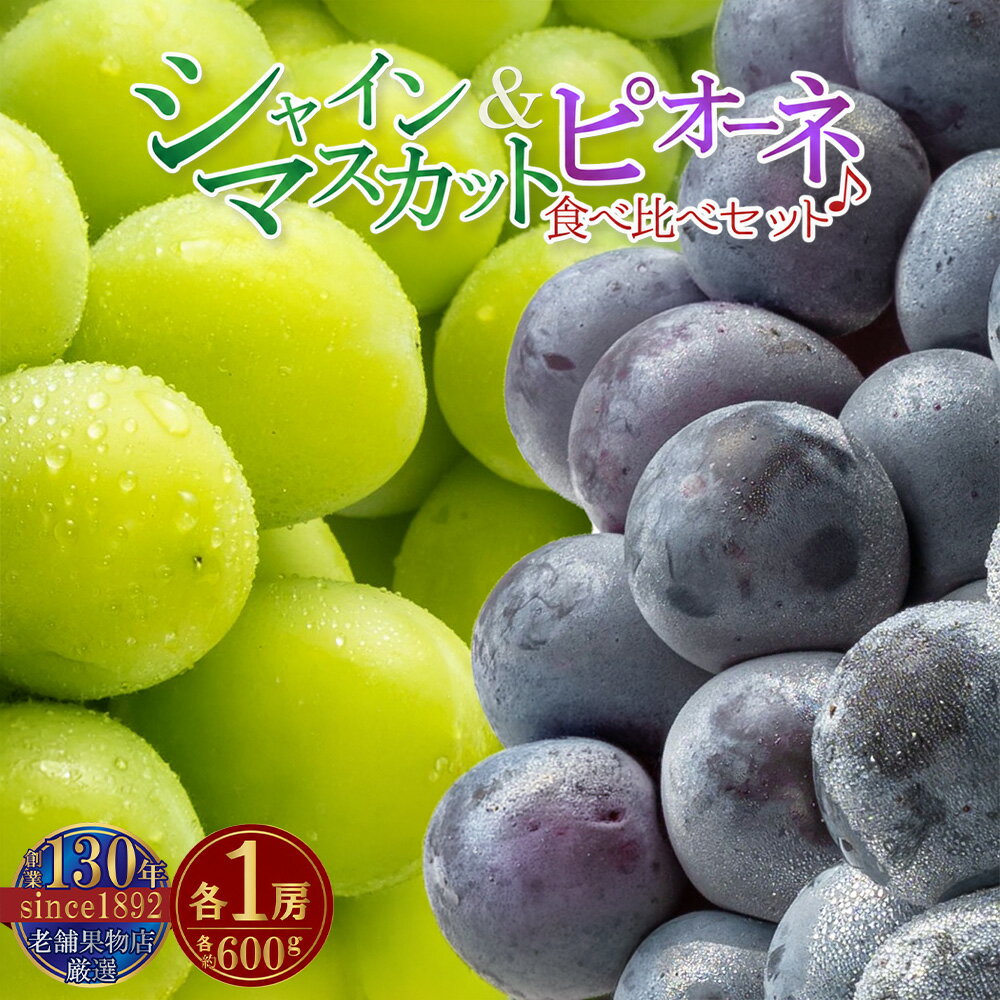 【ふるさと納税】【配送不可地域：北海道・沖縄県・離島】シャインマスカット ニュー ピオーネ 北浜商店 大房 1房 600g 食べ比べ セット 果実 甘い 創業 130年 フルーツ王国 香川県 三豊市 送料無料 シャインマスカット 大粒 贈答用 ギフト お取り寄せ