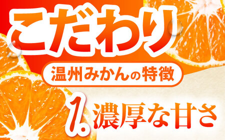 【2025年10月下旬〜発送】【2回定期便】温州みかん 食べ比べ 10kg×2回 / みかん 青島みかん ミカン 蜜柑 甘い フルーツ 果物 / 南島原市 / 蜜柑屋まつお[SCQ004]