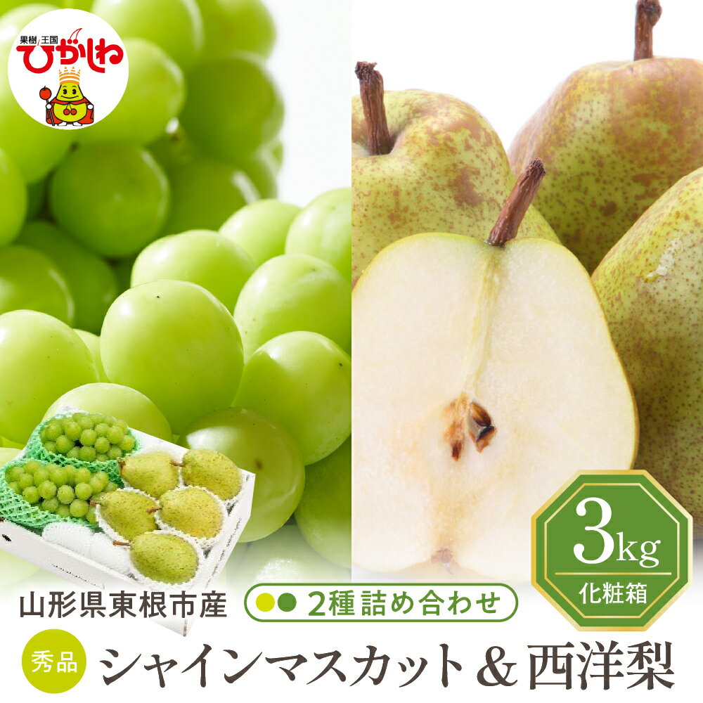 【ふるさと納税】2025年 先行予約 シャインマスカット 西洋梨 3kg 詰め合わせ / 葡萄 ブドウ ぶどう マスカット 洋梨 洋ナシ フルーツ くだもの 果物 セット 箱入り 化粧箱 期間限定 大容量 先行予約 取り寄せ グルメ ご当地 特産 産地 直送 送料無料