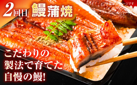 【3回定期便】高知をまるごと定期便〈鰹タタキ2節・うなぎ蒲焼き２尾・土佐あかうし300g〉 【株式会社Dorago】[ATAM038]