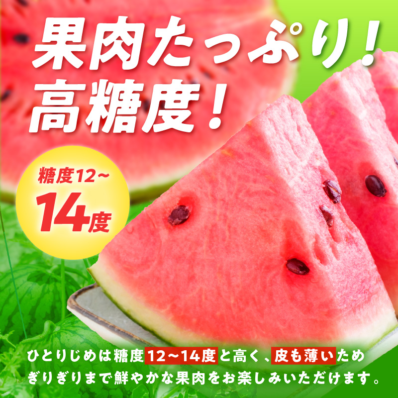 【0252-2】紀州プレミアムひとりじめ（小玉スイカ） 4玉7kg程度≪先行予約2026年6月初旬以降発送分≫
