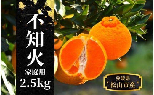 【不知火】家庭用 約 2.5kg ＜2025年2月末～4月頭頃発送＞ 愛媛 松山 みかん 先行予約 蜜柑 柑橘 果物 くだもの フルーツ お取り寄せ グルメ 期間限定 数量限定 人気 おすすめ 愛媛県 松山市