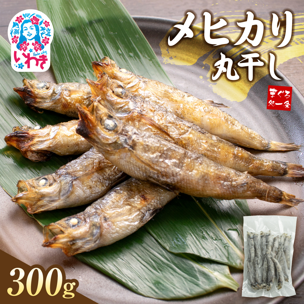 特大メヒカリ丸干し 300g（300g×1パック） | 脂のり抜群 白身魚 海鮮 干物 おつまみ 焼くだけ簡単 人気 福島県 いわき市 ふるさと納税 | DG029-300g