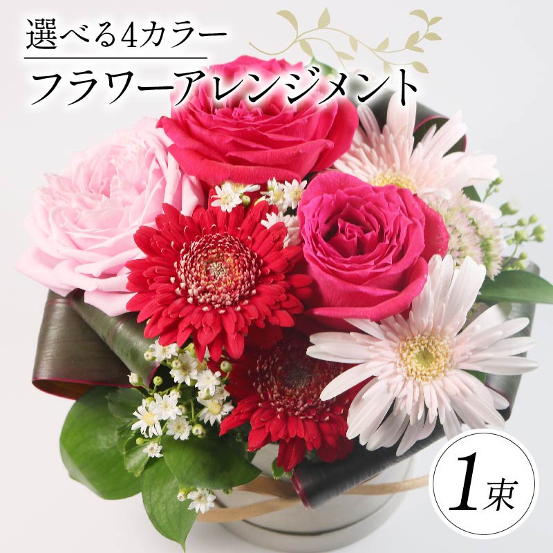 
            季節限定 選べるカラー フラワーアレンジメント 母の日 花束 ブーケ 花 お花 お祝い 贈答用 母の日 贈り物 誕生日 ギフト プレゼント 母の日 ラッピング インテリア レッド ピンク イエロー オレンジ ホワイト グリーン おまかせ 母の日 大阪府 松原市
          