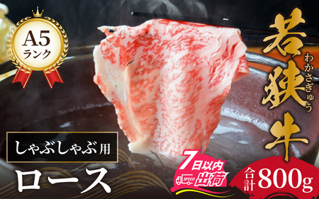 若狭牛A5ランクしゃぶしゃぶ用ロース 800g[D-037002] / しゃぶしゃぶ