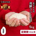 【ふるさと納税】先行予約《定期便》令和6年産 飛騨産 コシヒカリ 5kg × 6ヶ月 30kg 精白米 白米 飛騨の米 井下農園 こしひかり 定期便 お楽しみ 特A 新米 飛騨市 [Q1251xx_24]