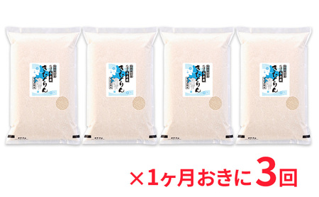きたくりん特別栽培米北海道赤平産きたくりん【20kg(5kg×4袋)】【定期便】