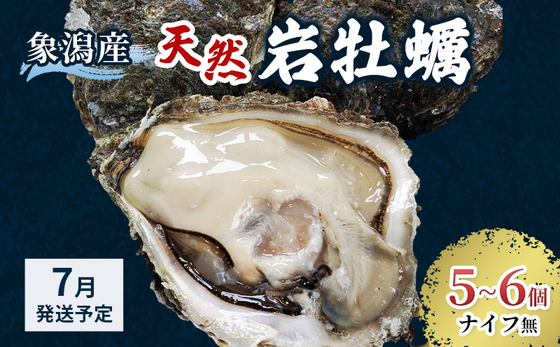 【 先行予約 7月上旬～下旬発送予定】象潟産 天然岩牡蠣 5～6個 ナイフ無【 牡蠣 夏牡蠣 かき 象潟 生食可 魚介類 海鮮 海産物 海の幸 】 さとう鮮魚店