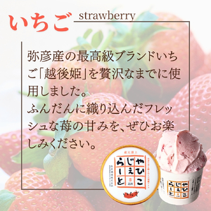絞りたて牛乳で製造した やひこジェラート 120ml×8個 | ジェラート