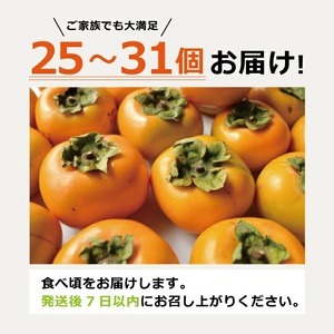 SA2929　酒田の果物専門店厳選　庄内柿(種なし柿)　約5kg(25～31玉入)
