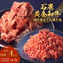 【ふるさと納税】うしちゃんファームセット 1-5P 和牛 切り落とし 300g 挽き肉 500g 冷凍 赤身 ひき肉 肉 牛肉 お肉 小分け 使いやすい