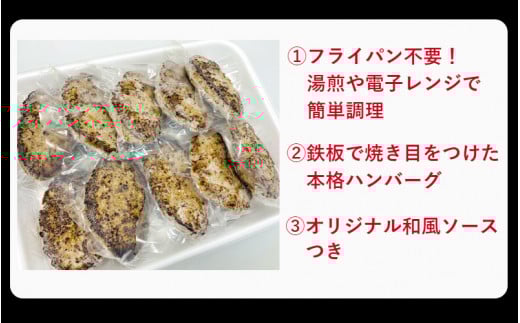 おおいた和牛と大分県産の豚を使った大分プレミアムハンバーグたっぷり1.6kg！（160g×10個）（1821R）_イメージ3