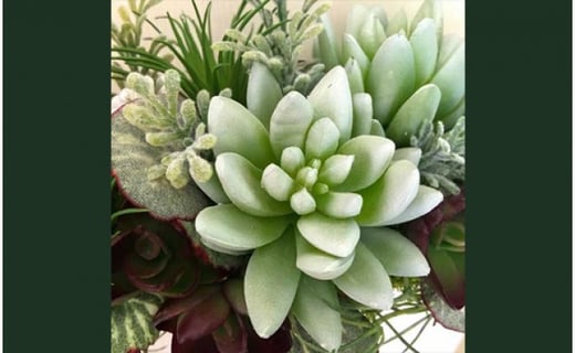 【ギフト用】美流渡の森 アーティフィシャルフラワー・アレンジメント 多肉植物 横長アレンジメント(シルバー)【12058】