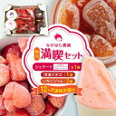 【ふるさと納税】【限定数量】【全12回定期便】なかはた農園満喫セット ( 冷凍イチゴ 500g いちごジャム 1個 ジェラート 2種 × 各1個 ) アイス 熊本 山都町 農園直送 産地直送【なかはた農園】[YBI040]