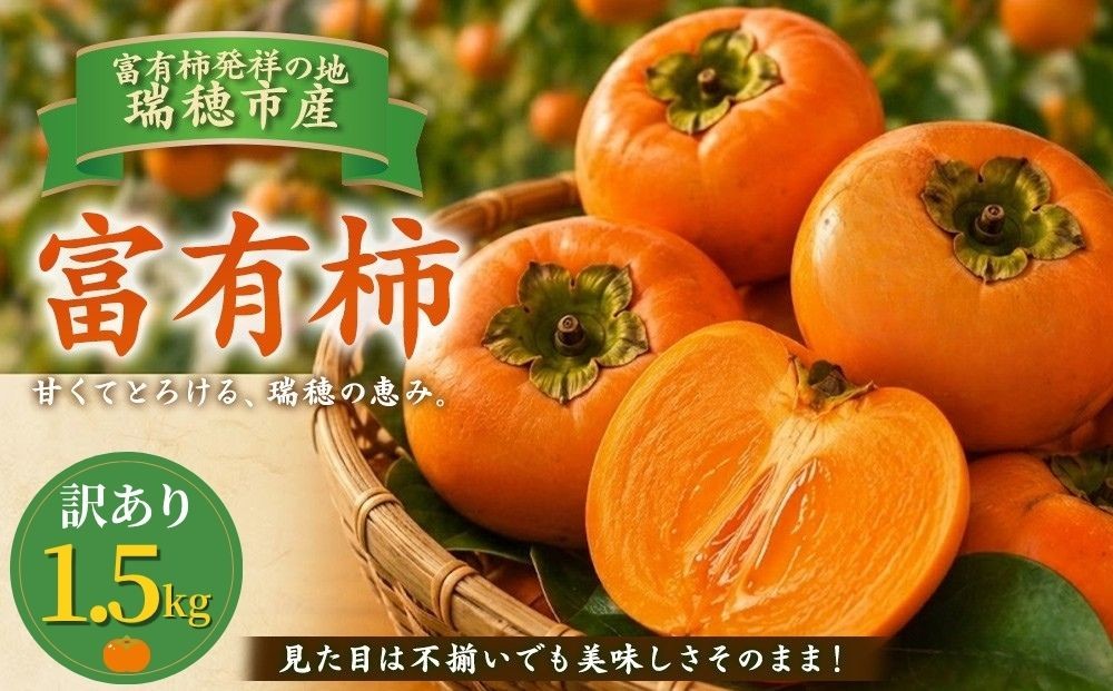 
                  富有柿 訳あり 1.5kg | 柿 富有柿 かき カキ フルーツ 果物 スイーツ おやつ 訳あり 訳アリ わけあり 規格外 家庭用 家用 不揃い ふぞろい 産地直送 5000円  岐阜 瑞穂市 送料無料 ※2026年11月～発送
                