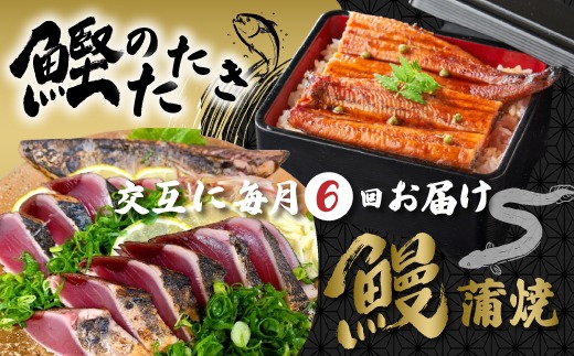 6回 定期便 うなぎ の 蒲焼 と 鰹のタタキ 月替わり 定期便 冷凍 魚 魚介 かつお カツオ 鰹 藁焼き たたき タタキ ウナギ 鰻 鰻の蒲焼 ご当地 グルメ ごちそう 総菜 おかず 四国 高知 四万十 しまんと 新鮮 26-847