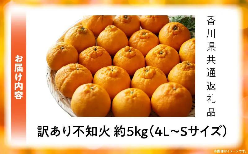 【先行予約】訳あり不知火約5kg【香川県共通返礼品】 | 果物 フルーツ 不知火 しらぬい フレッシュ ジューシー 香り 爽やか 旬の果物 人気 おすすめ 訳あり 生産者応援 青果物 糖度 香川県 三