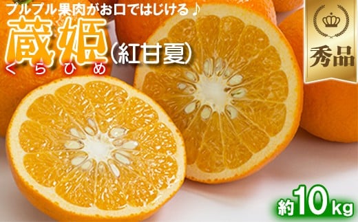 
            今村農園の蔵姫くらひめ（紅甘夏） 約14kg【秀品】 先行予約 14kg 2025年 3月発送 4月発送 贈答 柑橘類 みかん ミカン フルーツ ＜107-033_6＞
          