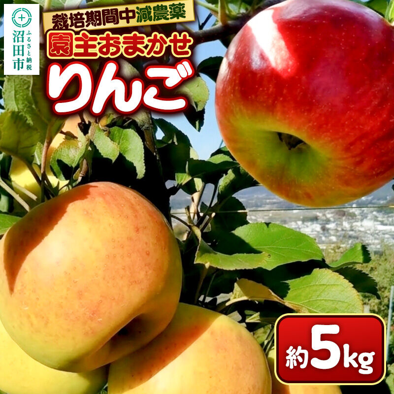 【ふるさと納税】りんご 5kg 園主おまかせ 果樹園マンサーナ [林檎 りんご リンゴ 品種おまかせ]