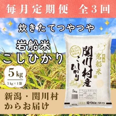 ふるさと納税 関川村 【毎月定期便】炊きたてつやつや 新潟関川村産 岩船米こしひかり精米 5kg [星山米店]全3回