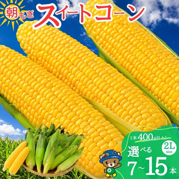 【ふるさと納税】【2026年8月上旬から発送】北海道とままえ産 スイートコーン 2Lサイズ 容量が選べる とうもろこし 北海道産 先行 予約 受付 甘い 旬 産地直送 野菜 冷蔵 北海道 苫前町 とままえ