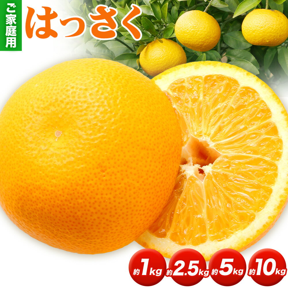 【ふるさと納税】只今出荷中!! ご家庭用 訳あり はっさく 八朔 みかん 選べる 1kg. 2.5kg.5kg.10kg池田鹿蔵農園 日高町《1月上旬-3月末頃出荷》和歌山県 日高町 送料無料 はっさくみかん 八朔 訳ありはっさく【配送不可地域あり】
