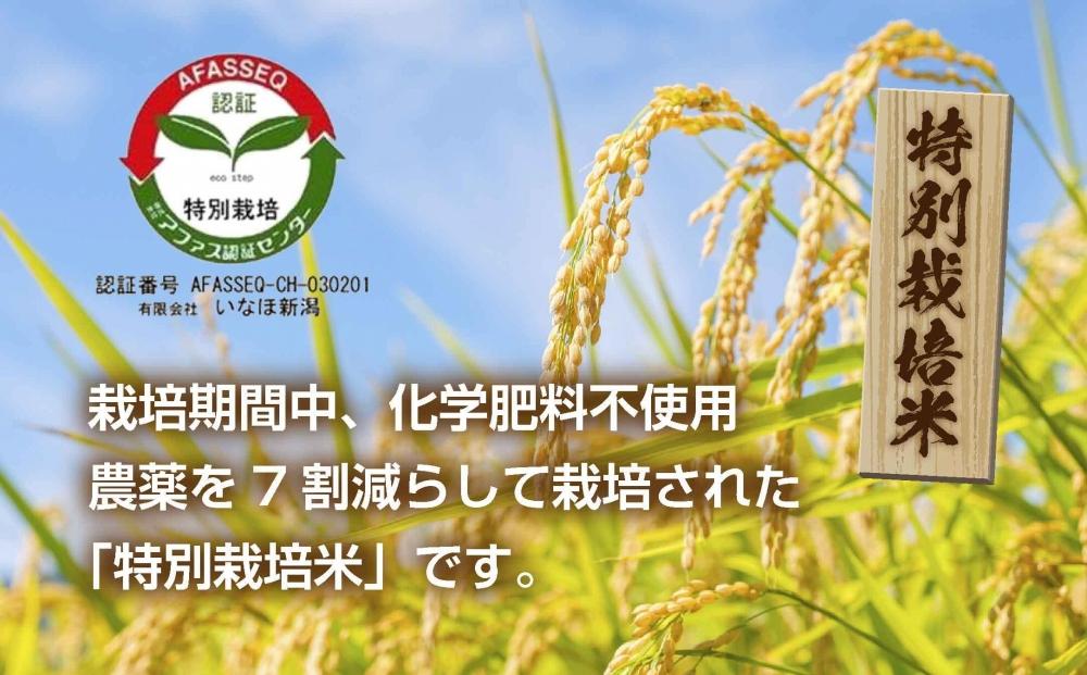 【特別栽培米】南魚沼産 コシヒカリ 5kg ×3袋 計15kg いなほ新潟 農家のこだわり 新潟県 南魚沼市 塩沢地区 しおざわ お米 こめ 白米 コメ 食品 人気 おすすめ 送料無料