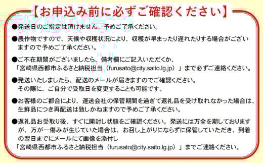糖度13度以上！西都市産完熟マンゴー『スターズマンゴー』大玉3L×2個 宮野原農園 【先行予約・2026年発送】<2-106>みやざき完熟マンゴー 果物 くだもの フルーツ ギフト 贈答用 宮崎県 西