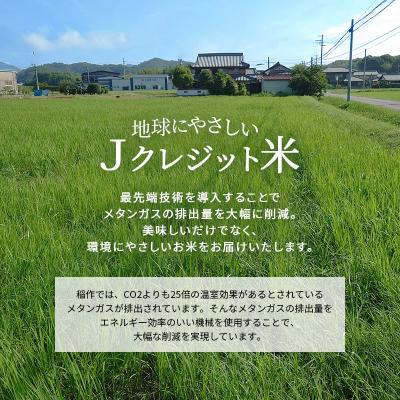 ふるさと納税 加西市 【令和8年産 先行受付】しきゆたか 白米 20kg《2026年11月発送》[No5698-2553] |  | 01