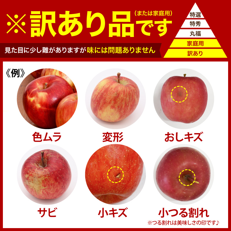 【2027年2月後半発送】 【ちょっと訳あり】 りんご 約10kg サンふじ 青森産