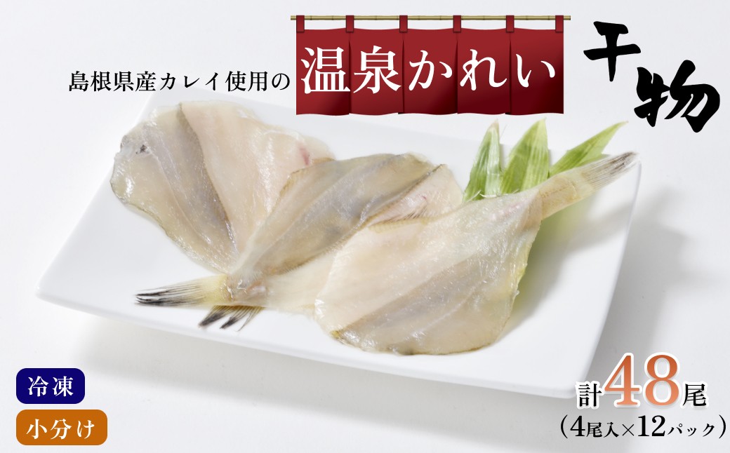 
                  島根県産カレイ使用 温泉かれい 干物 4尾×12パック 干物 カレイ 鰈 エテカレイ 魚介 小分け 贈答 冷凍 【186_1917】
                