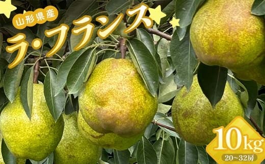 山形県産 ラ・フランス 秀 10kg（5kg×2）20～32玉 FSY-2255