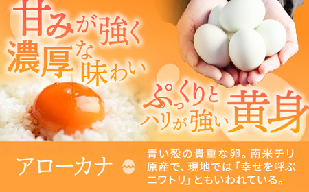 関匠卵 ひびき+アローカナハーフセット（計20個）※北海道・沖縄・離島への配送不可 _CP06
