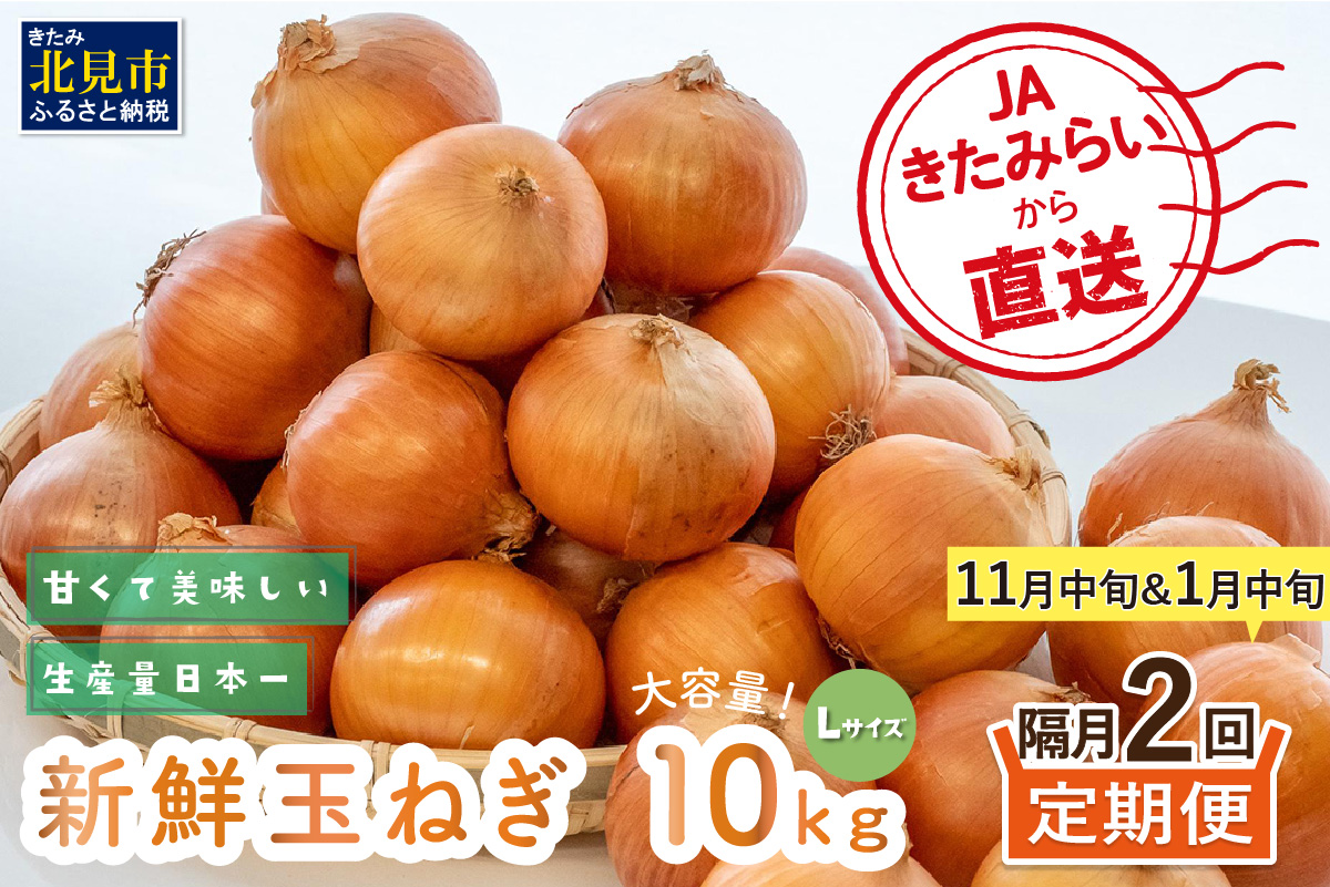 ☆L玉隔月定期便(11月・1月)☆JAきたみらいから直送する新鮮玉ねぎ 10kg(L)×2回 ( 野菜 定期便 玉葱 たまねぎ 期間限定 )【999-0118-2024】