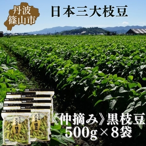 秋の味覚「丹波黒枝豆」  爽やかな旨味・500g×8袋　仲摘み 【2025年10月14～21日頃お届け予定】 | 兵庫県 丹波篠山市 プレミアム枝豆 期間限定 黒枝豆 えだまめ エダマメ お取り寄せグルメ 高級 特産品 名産品 おつまみ おうち居酒屋