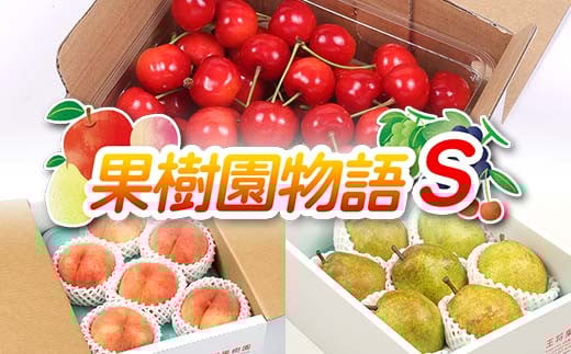 《先行予約 2025年度発送》果樹園物語S ≪果物 3回定期便≫ FSY-1862