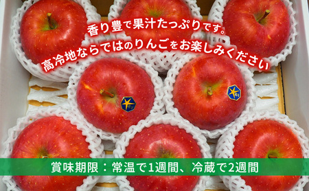 10月末～順次発送【先行予約】朝島りんご生産組合 盛岡りんご りんご 北斗約3kg(7～9個)