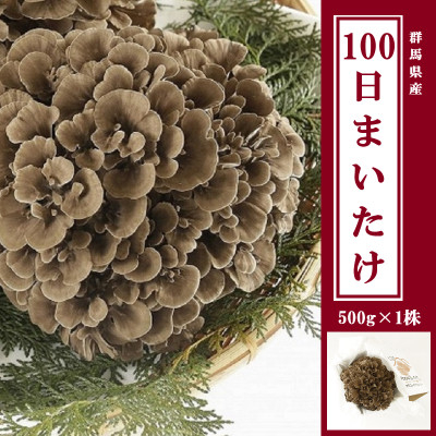 
100日まいたけ 500g×1株【1267431】
