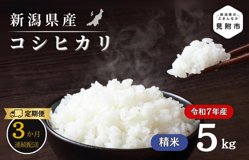 
                  【3か月定期便】R7年産 新潟県産 コシヒカリ 5kg （精米）新潟のど真ん中 見附市 こしひかり 米 お米 白米 おすすめ 人気 こめ コメ 新潟 見附 7年 2025年産 ふるさと納税
                