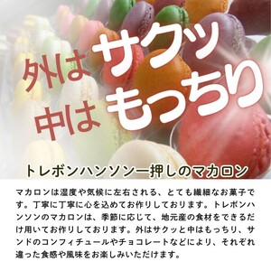 こだわり マカロン 詰め合わせ 10個入り セット 焼き菓子 スイーツセット マカロン10個入り ( 南濃みかん いちごみるく ピスタチオ 塩キャラメル フランボワーズ )