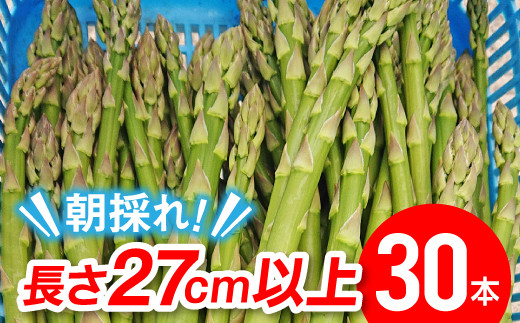 
            【伊達市産J-GAP取得】朝採りアスパラ約1kg（27cm以上・30本程度） F20C-172
          