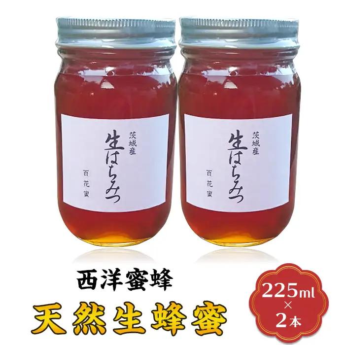蜂蜜 2本 西洋蜜蜂 6月ごろ発送 はちみつ 生蜂蜜