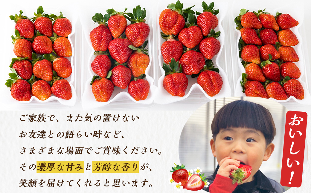 Green's 「いちごの王様」目指す福岡県産あまおう 250g×4パック 4月分 あまおう いちご イチゴ 苺 フルーツ 果物 冷蔵 送料無料 福岡県 うきは市 【2026年4月上旬〜4月中旬より順