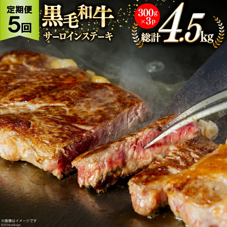 【ふるさと納税】5回 定期便 宮崎県産 黒毛和牛 サーロイン ステーキ 300g ×3×5ヶ月 合計4.5kg [サンアグリフーズ 宮崎県 美郷町 31ba0034] 小分け 冷凍 送料無料 国産 牛 肉 霜降り BBQ バーベキュー キャンプ 真空包装 スペース 収納 サシ がっつり 脂