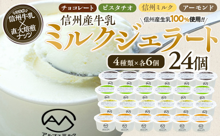 信州アイス 24個 4種 各6個 信州アイス
